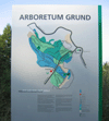 Lageplan des Arboretums bei Bad Grund